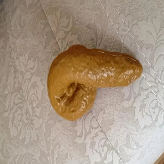 Prank fausse crotte Fake merde dégoutante faux caca réaliste